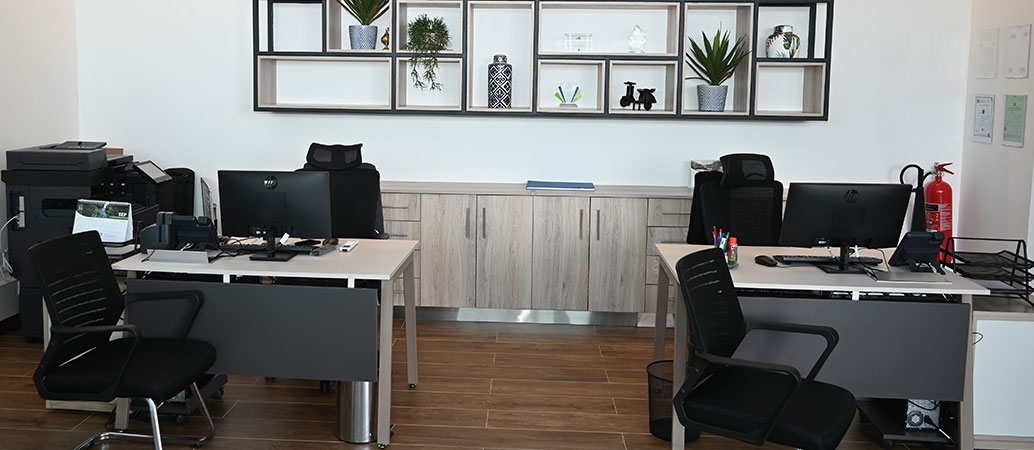 Gallery Photo